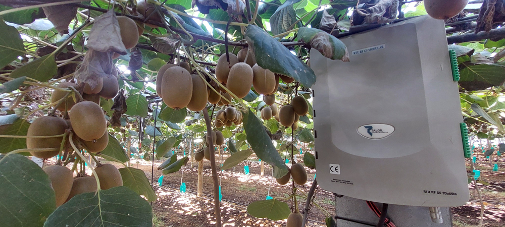 MPA installation programmateur kiwi